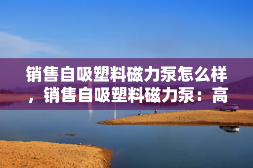 销售自吸塑料磁力泵怎么样，销售自吸塑料磁力泵：高效、可靠且耐用的流体传输解决方案