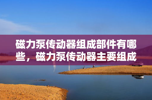 磁力泵传动器组成部件有哪些，磁力泵传动器主要组成部件一览