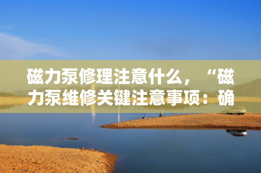 磁力泵修理注意什么，“磁力泵维修关键注意事项：确保安全与性能的重要步骤”