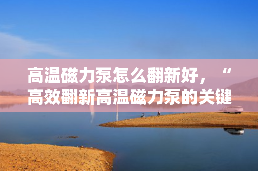 高温磁力泵怎么翻新好，“高效翻新高温磁力泵的关键步骤与技巧”