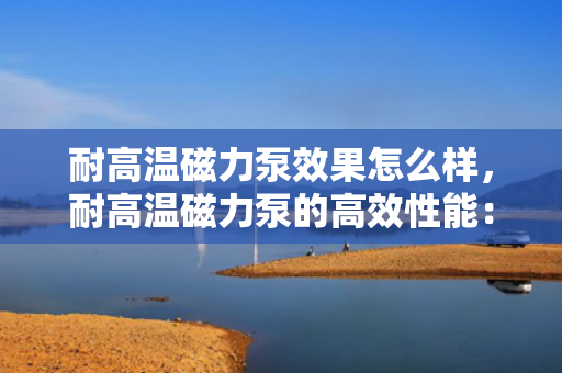 耐高温磁力泵效果怎么样，耐高温磁力泵的高效性能：应对高温环境的理想选择