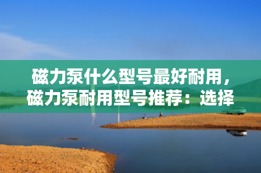 磁力泵什么型号最好耐用，磁力泵耐用型号推荐：选择最适合您需求的高性能、长寿命磁力泵