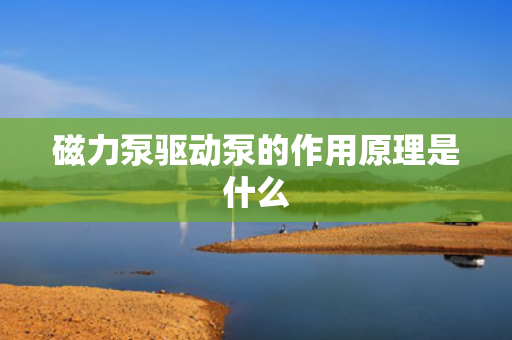 磁力泵驱动泵的作用原理是什么
