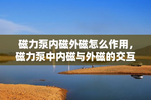 磁力泵内磁外磁怎么作用，磁力泵中内磁与外磁的交互作用机制解析