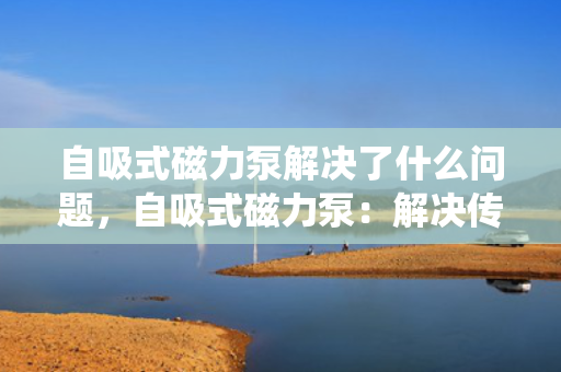 自吸式磁力泵解决了什么问题，自吸式磁力泵：解决传统泵类泄漏与密封难题的创新之选