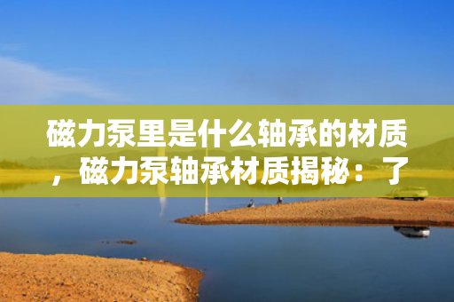 磁力泵里是什么轴承的材质，磁力泵轴承材质揭秘：了解磁力泵内部轴承的制造材料