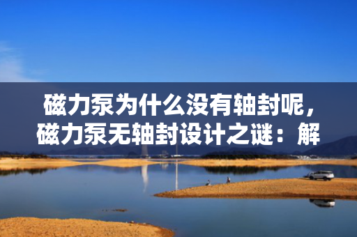 磁力泵为什么没有轴封呢，磁力泵无轴封设计之谜：解析其独特结构与工作原理
