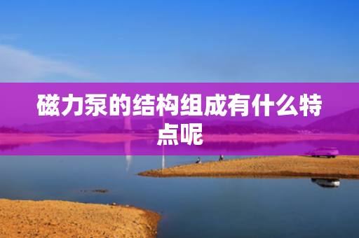 磁力泵的结构组成有什么特点呢