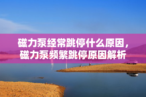磁力泵经常跳停什么原因，磁力泵频繁跳停原因解析