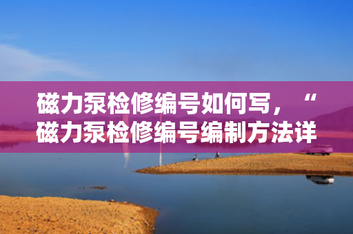磁力泵检修编号如何写，“磁力泵检修编号编制方法详解”