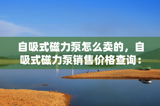 自吸式磁力泵怎么卖的，自吸式磁力泵销售价格查询：了解详情与获取报价