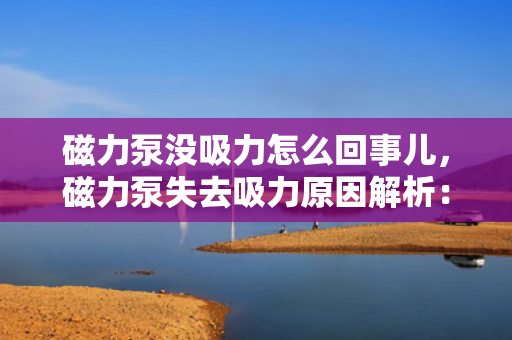 磁力泵没吸力怎么回事儿，磁力泵失去吸力原因解析：故障排查与解决方案