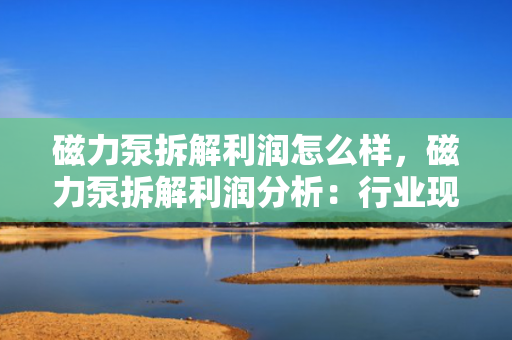 磁力泵拆解利润怎么样，磁力泵拆解利润分析：行业现状及盈利前景一探究竟
