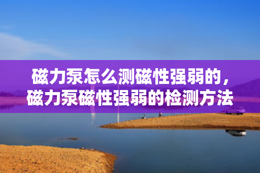 磁力泵怎么测磁性强弱的，磁力泵磁性强弱的检测方法