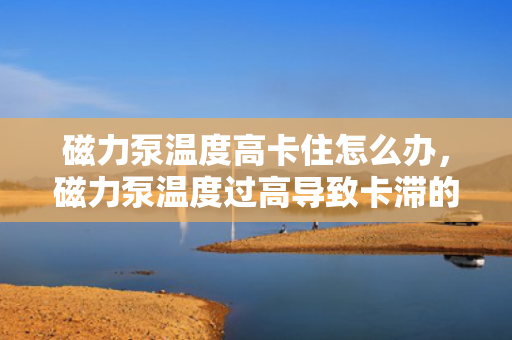 磁力泵温度高卡住怎么办，磁力泵温度过高导致卡滞的应急处理与解决方案