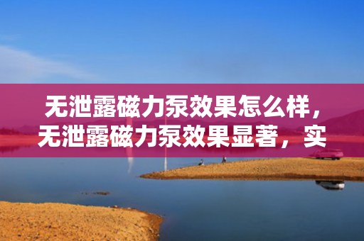 无泄露磁力泵效果怎么样，无泄露磁力泵效果显著，实现高效无泄漏传输