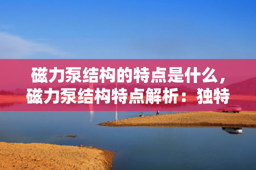 磁力泵结构的特点是什么，磁力泵结构特点解析：独特设计带来的高效与可靠性