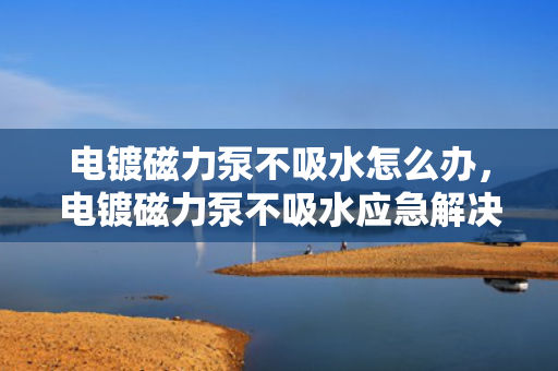电镀磁力泵不吸水怎么办，电镀磁力泵不吸水应急解决方案