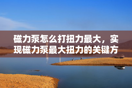 磁力泵怎么打扭力最大，实现磁力泵最大扭力的关键方法与技巧