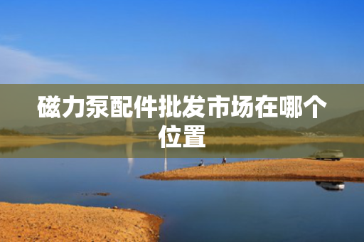 磁力泵配件批发市场在哪个位置