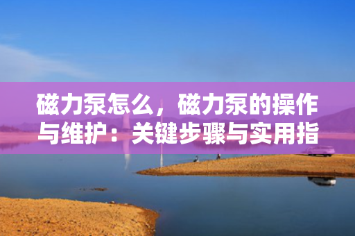 磁力泵怎么，磁力泵的操作与维护：关键步骤与实用指南