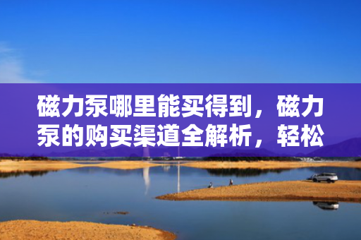 磁力泵哪里能买得到，磁力泵的购买渠道全解析，轻松找到您的理想选择！