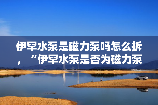 伊罕水泵是磁力泵吗怎么拆，“伊罕水泵是否为磁力泵及拆卸方法解析”