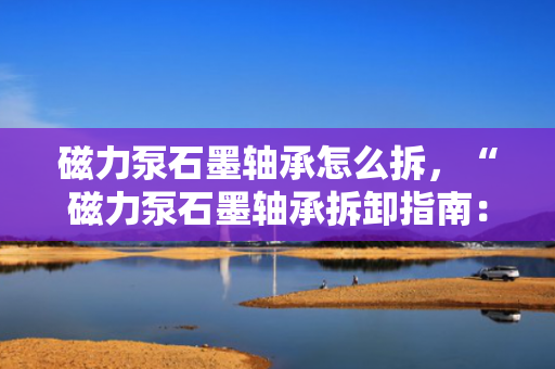 磁力泵石墨轴承怎么拆，“磁力泵石墨轴承拆卸指南：步骤与注意事项”
