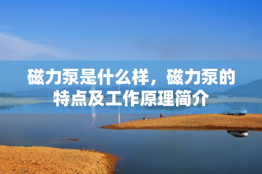 磁力泵是什么样，磁力泵的特点及工作原理简介