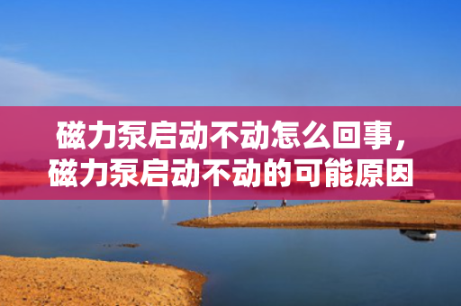 磁力泵启动不动怎么回事，磁力泵启动不动的可能原因及解决方法
