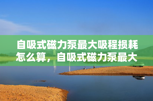 自吸式磁力泵最大吸程损耗怎么算，自吸式磁力泵最大吸程损耗的计算方法探讨