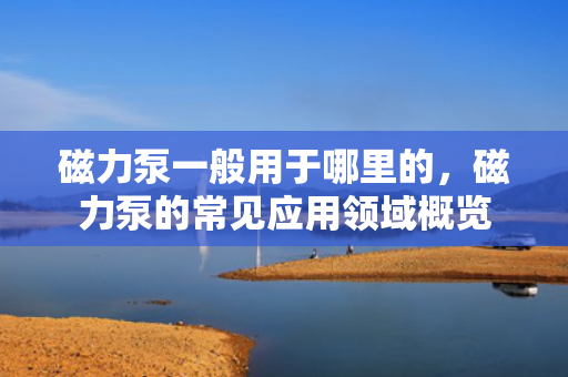 磁力泵一般用于哪里的，磁力泵的常见应用领域概览