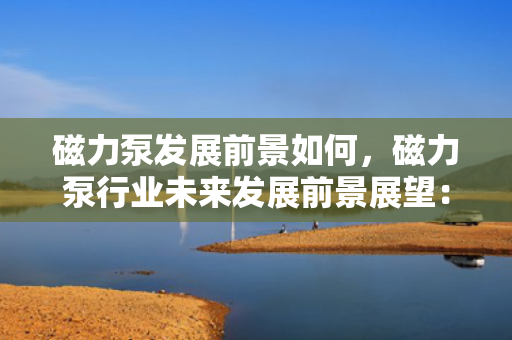 磁力泵发展前景如何，磁力泵行业未来发展前景展望：市场潜力与技术创新并行