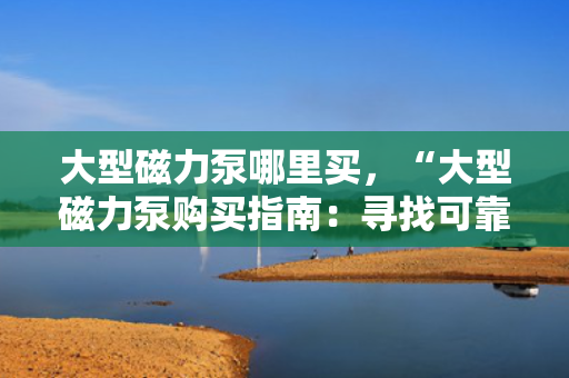 大型磁力泵哪里买，“大型磁力泵购买指南：寻找可靠供应商的关键步骤”