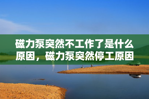 磁力泵突然不工作了是什么原因，磁力泵突然停工原因解析：故障排查与解决方案