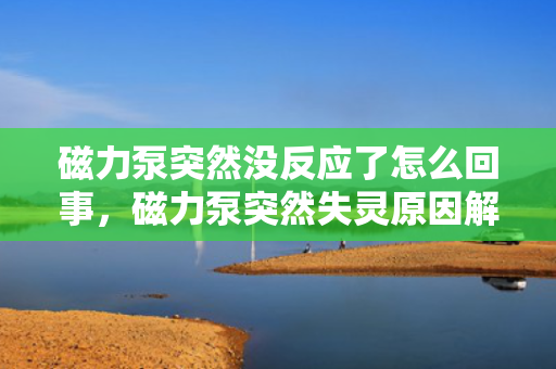 磁力泵突然没反应了怎么回事，磁力泵突然失灵原因解析：故障排查与解决方案