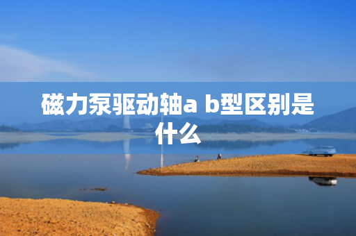 磁力泵驱动轴a b型区别是什么