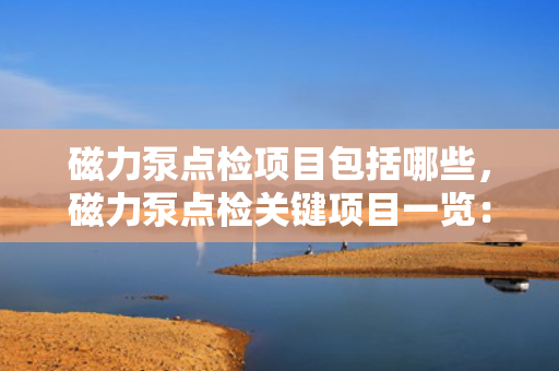 磁力泵点检项目包括哪些，磁力泵点检关键项目一览：确保运行安全与效率