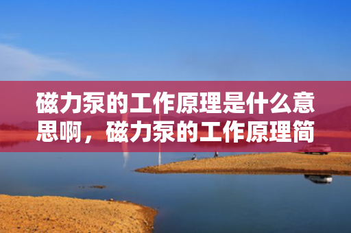 磁力泵的工作原理是什么意思啊，磁力泵的工作原理简介