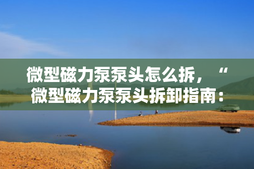 微型磁力泵泵头怎么拆，“微型磁力泵泵头拆卸指南：简单易懂的步骤教程”