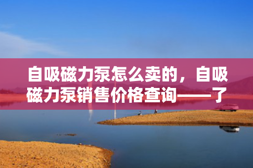 自吸磁力泵怎么卖的，自吸磁力泵销售价格查询——了解自吸磁力泵的市场行情与价格因素