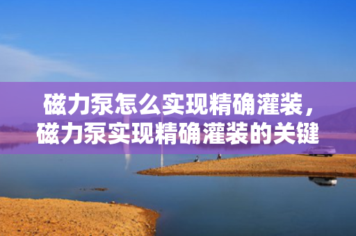 磁力泵怎么实现精确灌装，磁力泵实现精确灌装的关键技术与方法