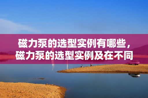 磁力泵的选型实例有哪些，磁力泵的选型实例及在不同应用场景中的选择策略