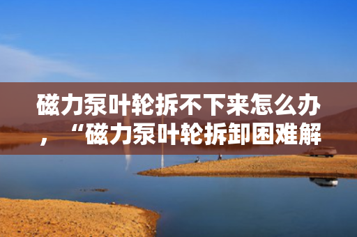 磁力泵叶轮拆不下来怎么办，“磁力泵叶轮拆卸困难解决方案”