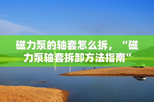 磁力泵的轴套怎么拆，“磁力泵轴套拆卸方法指南”