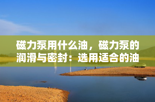 磁力泵用什么油，磁力泵的润滑与密封：选用适合的油类是关键