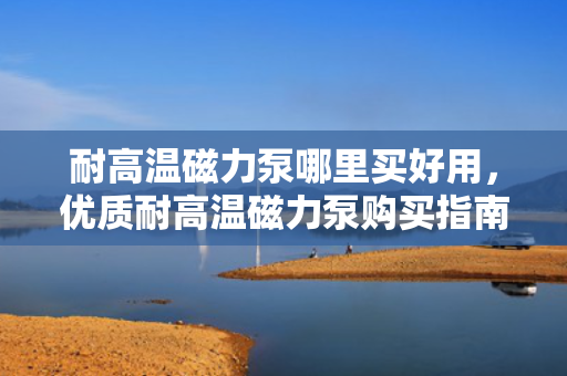 耐高温磁力泵哪里买好用，优质耐高温磁力泵购买指南：选择靠谱供应商，确保性能卓越