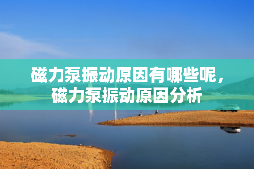 磁力泵振动原因有哪些呢，磁力泵振动原因分析