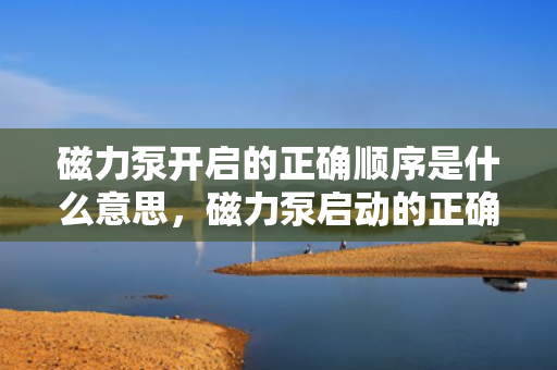 磁力泵开启的正确顺序是什么意思，磁力泵启动的正确顺序详解