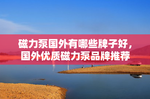 磁力泵国外有哪些牌子好，国外优质磁力泵品牌推荐